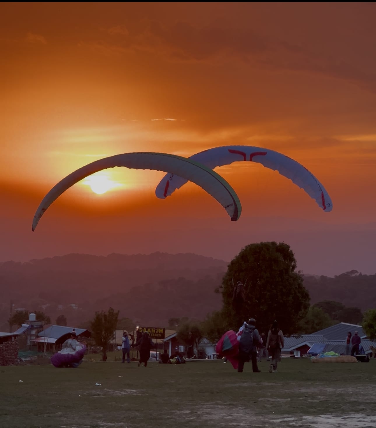Tandem flight at sunset
